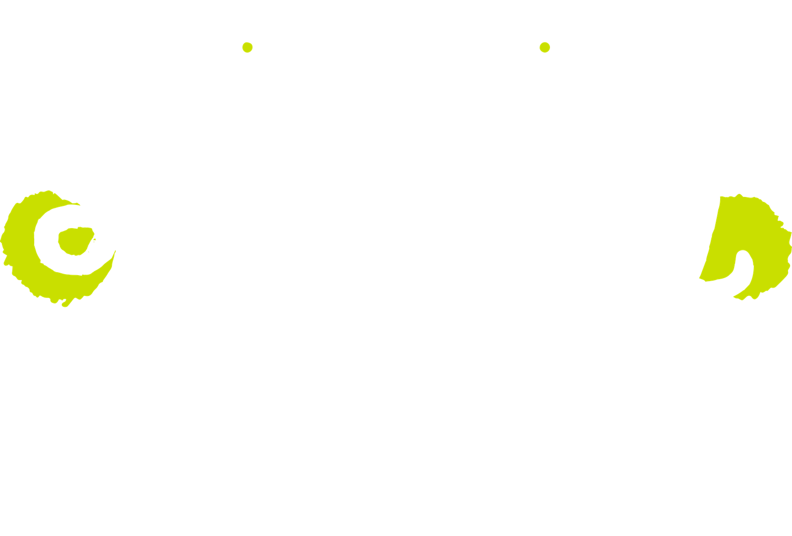 Sally Squad